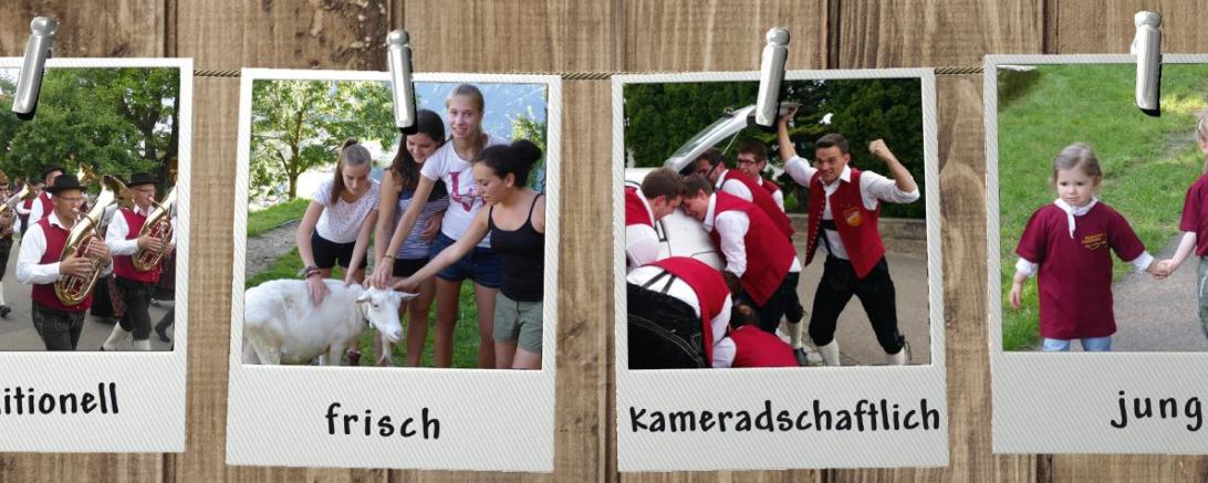 2016-05-13 02_12_38-print-Rollup-MVF--reduziert-Vorlage-dieDruckerei-LRS0940.pdf - Adobe Acrobat Rea