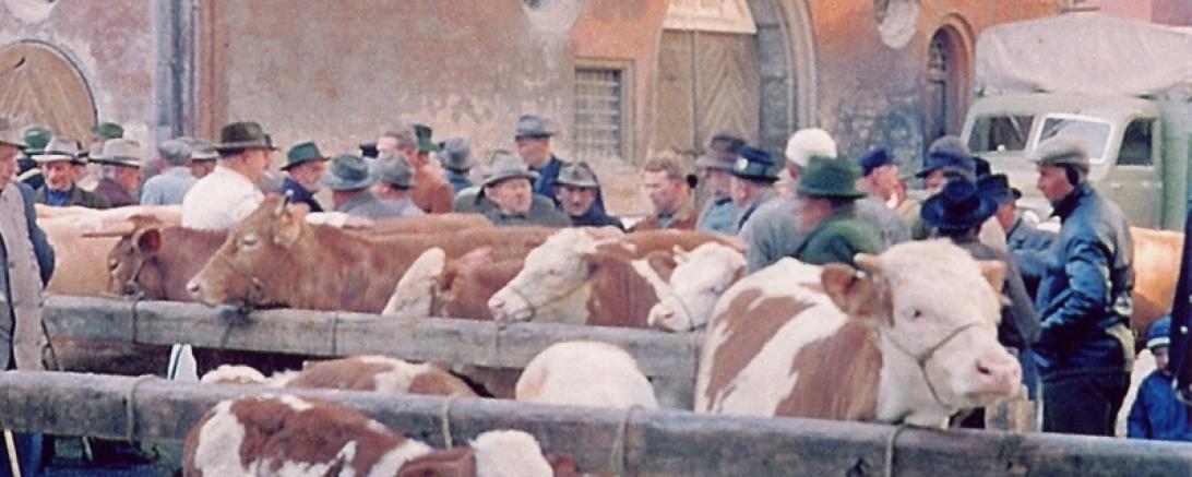 MKLR_Nördlinger Viehmarkt_Peter Hueber