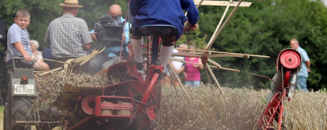 MKLR_Schnitterfest2017_Bindemäher_HaraldWodarz