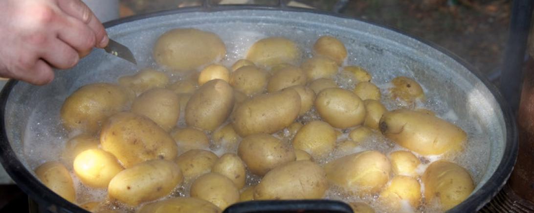 MKLR_Kartoffeldämpfer-kl_BrunoLangner