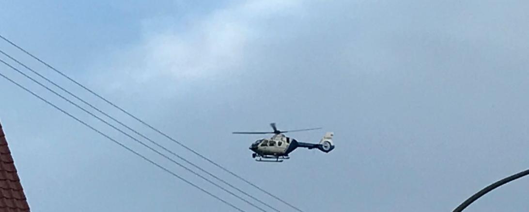 WhatsApp Image 2017-08-15 at 19.52.17