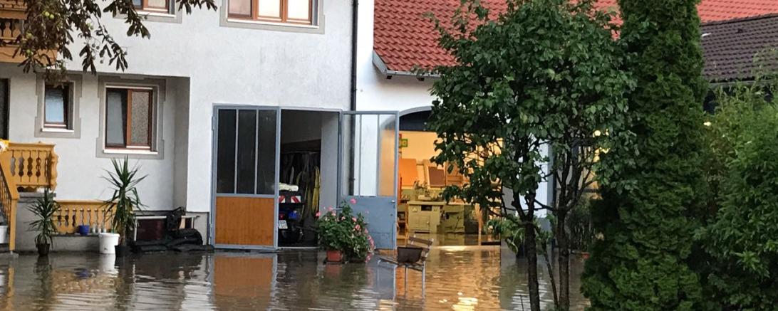 WhatsApp Image 2017-08-15 at 20.29.56