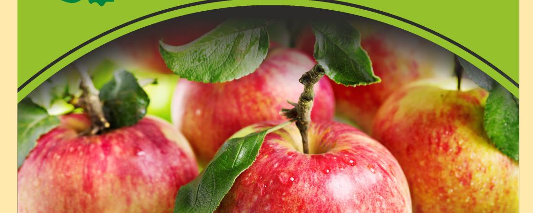 apfelmarkt 17 plakat_Seite_1