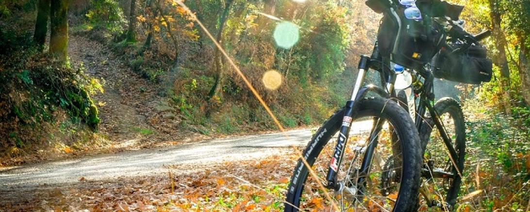 cycling-2846201_960_720