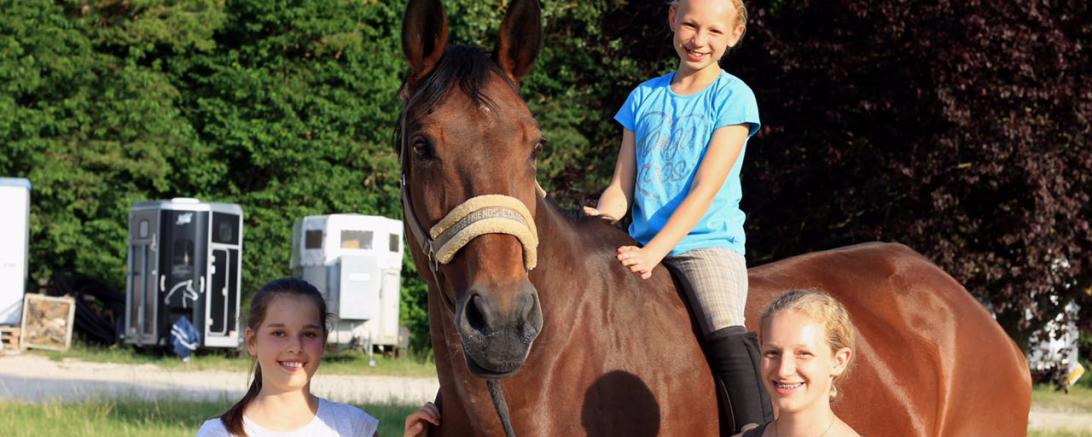 Pilotta_Bild vom Reit- und Fahrverein Wemding