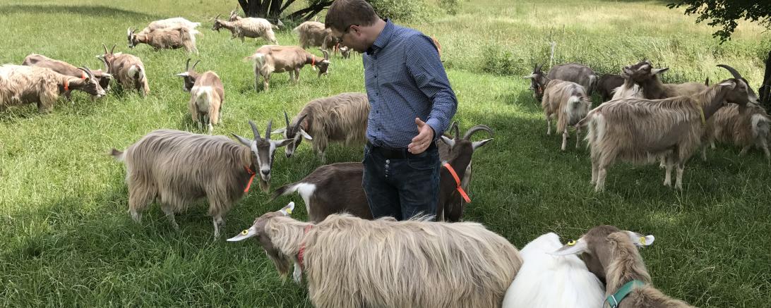 Foto 03.07.17, 13 38 06