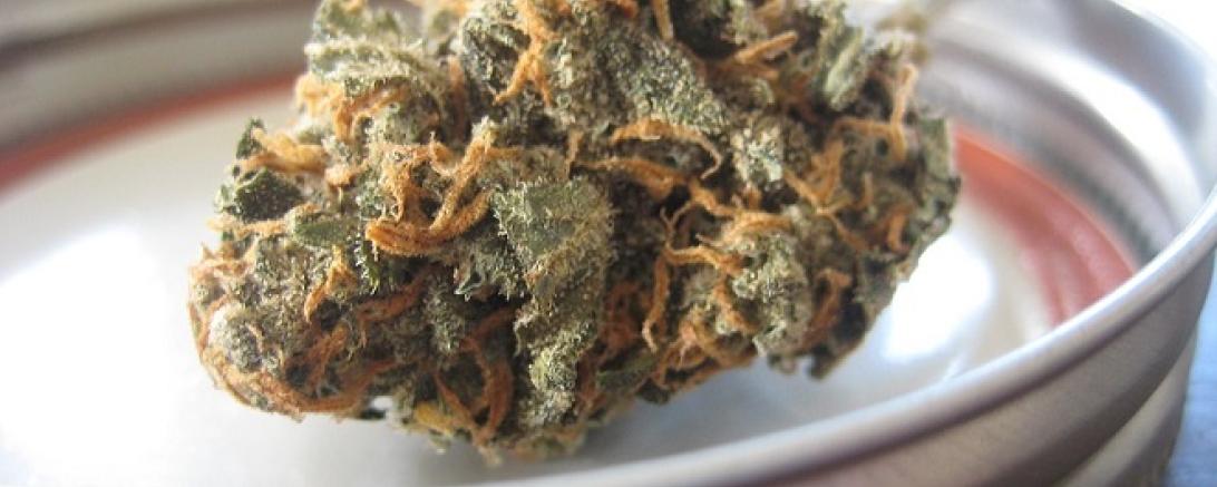 flowers-2469212_960_720