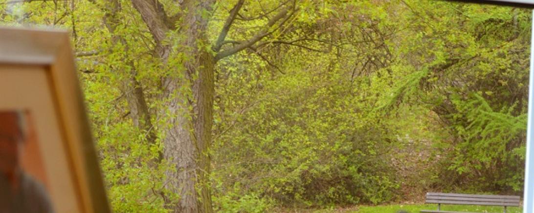 h17_Bild_Herbstsammlung_farbig