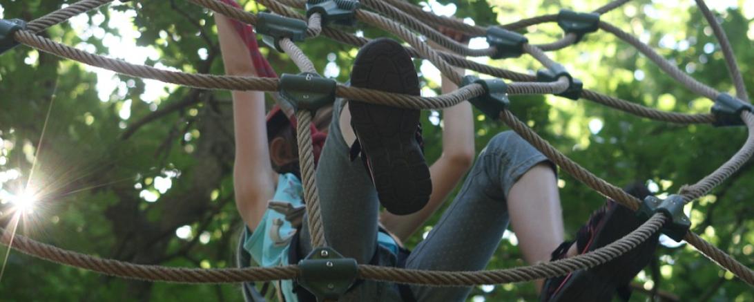 climbing-forest-906973_960_720