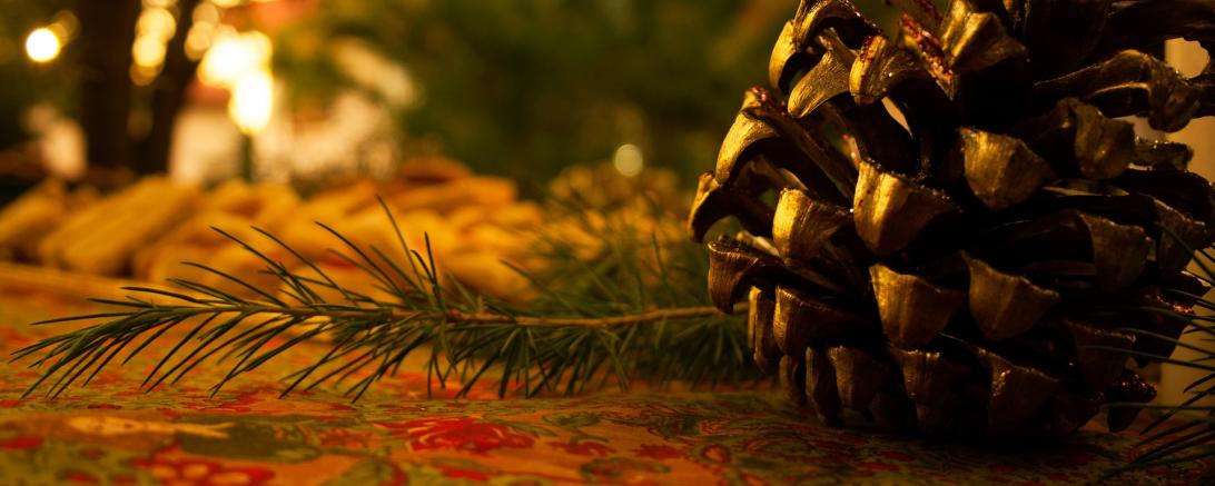 Das Bild zeigt einen Tannenzapfen.