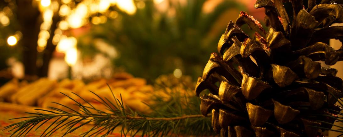 Das Bild zeigt einen Tannenzapfen. 