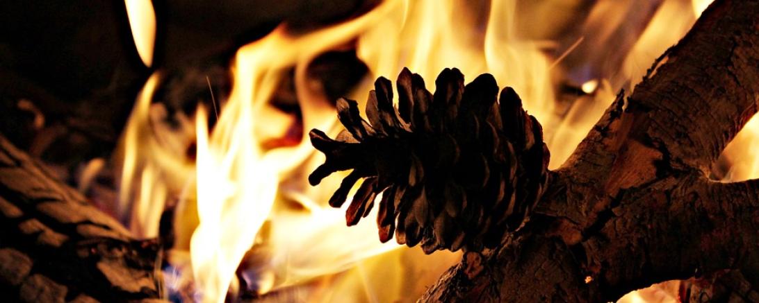 Das Bild zeigt ein Lagerfeuer. 