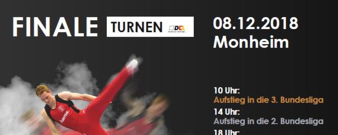 Das Bild zeigt einen Flyer für das Finale der Deutschen Turnliga.