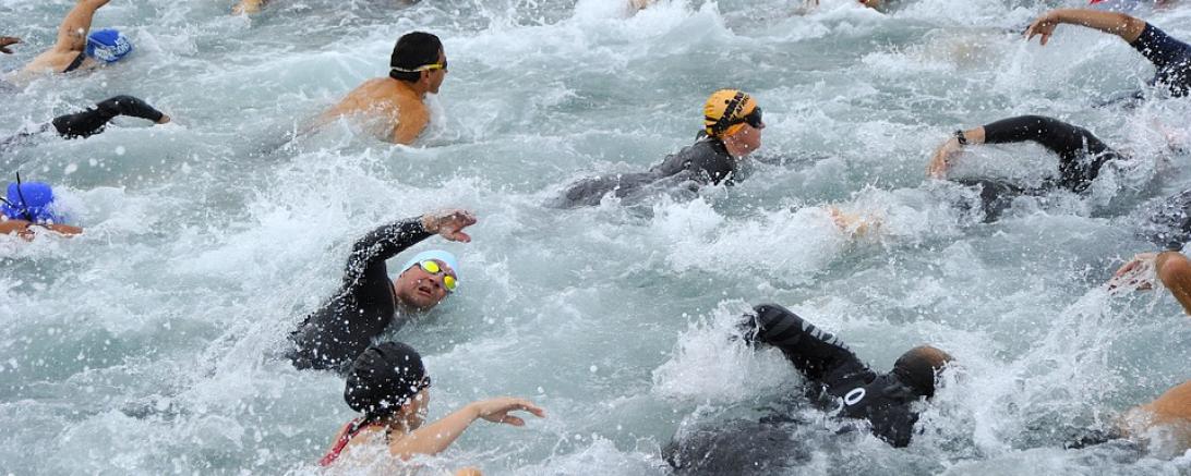 Das Bild zeigt Schwimmer beim Triathlon. 