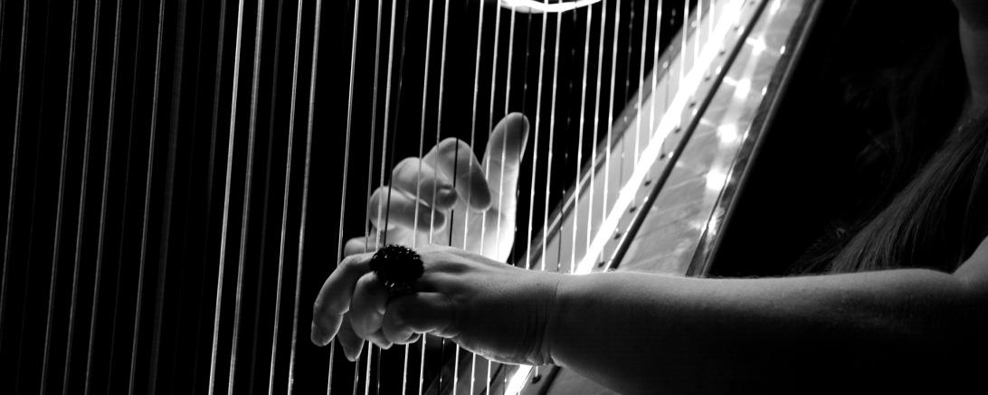 Bild Schwarz-Weiß Harfenspieler