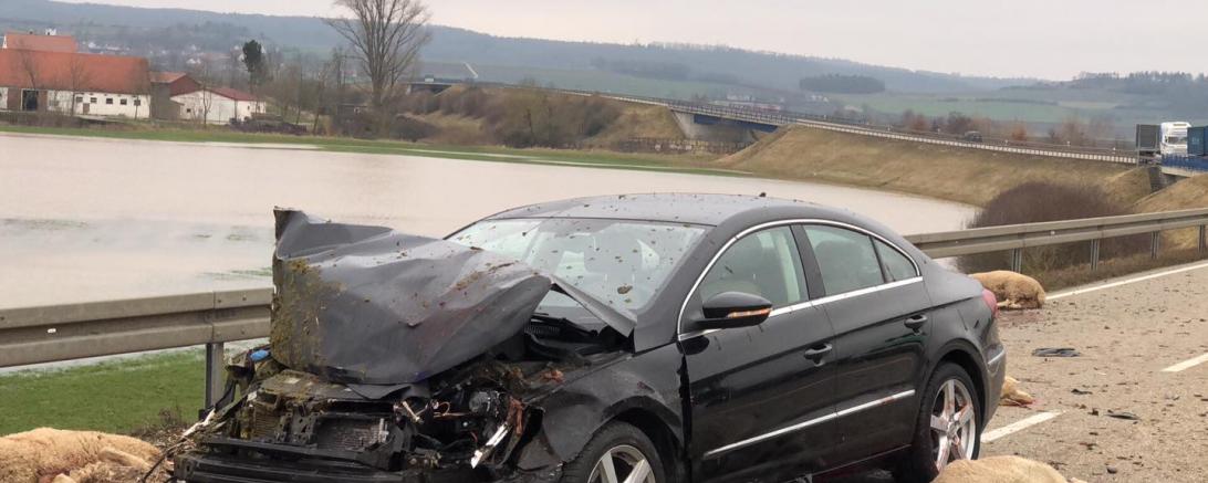 26693049_157613834861285_1679497569_o