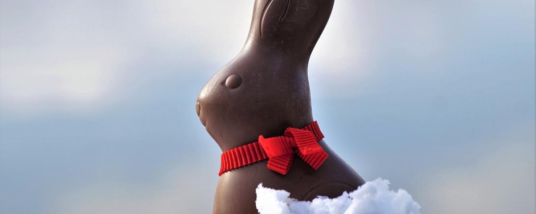 hare-3096772_960_720