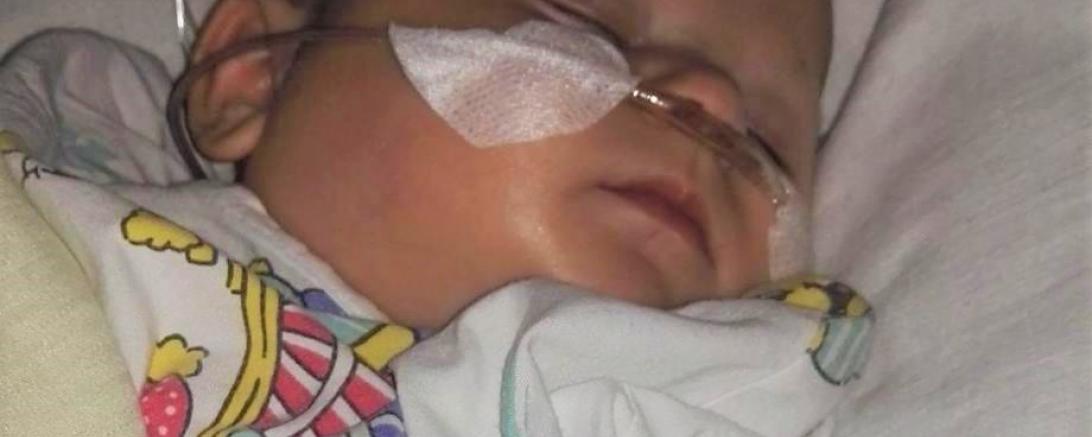 26229596_145782086211047_3179899504755633206_n