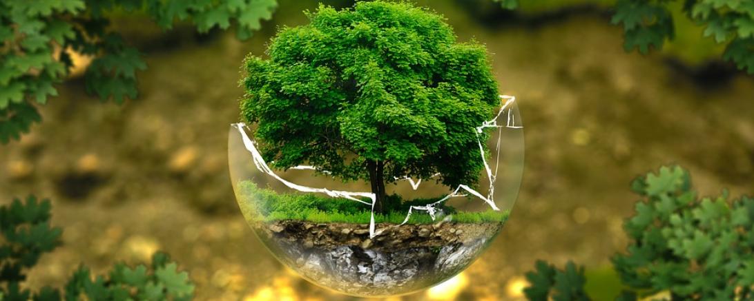 environmental-protection-326923_960_720
