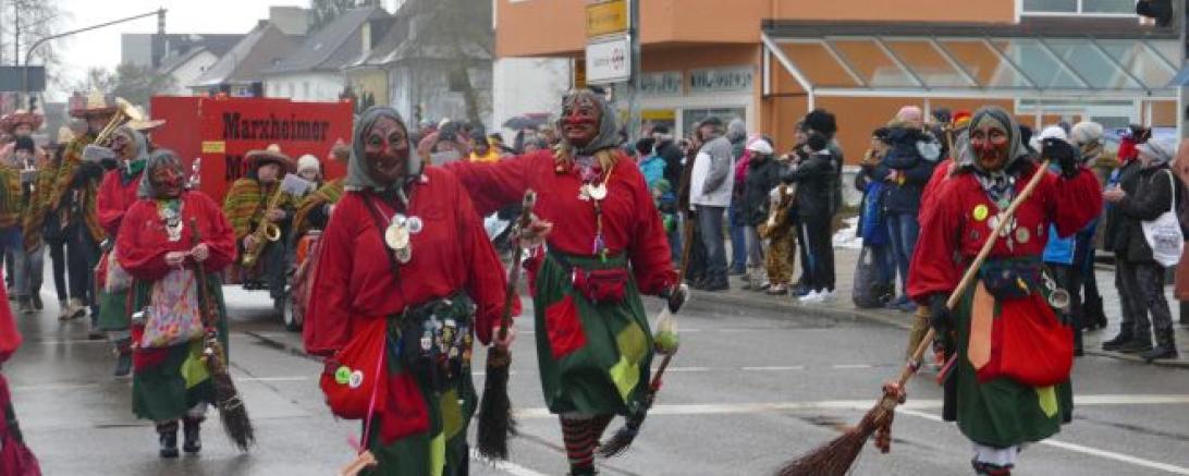 Faschingsumzug Rain 2018@Jenny Wagner0004
