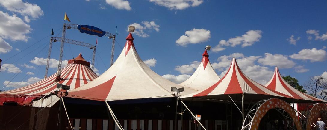 circus-231549_1280