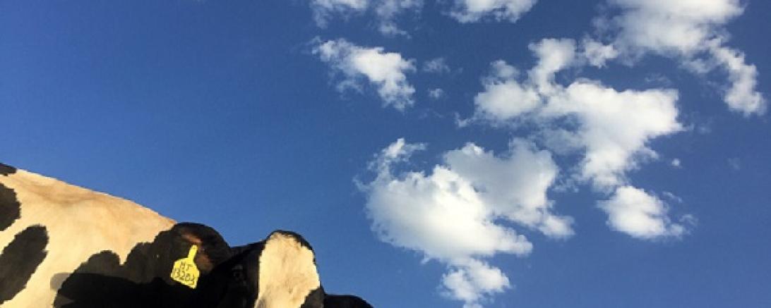 ryan-song-339249-unsplash