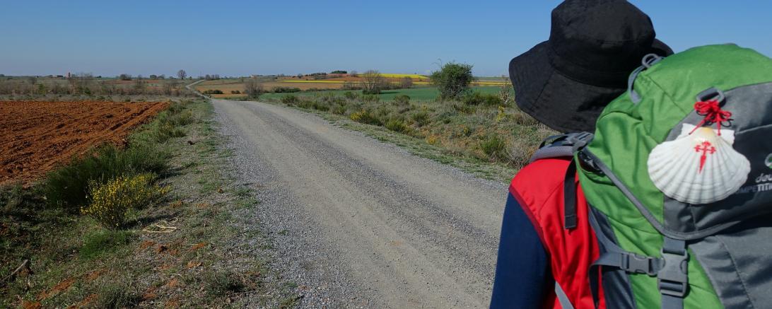 jakobsweg-747482_1920