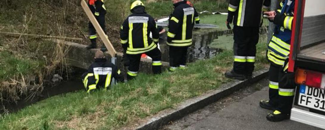 30724381_1695242980528980_5227383435873484800_n