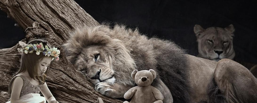 fantasy-3299901_960_720