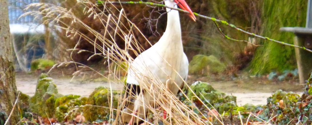 P1400265,Oett.Heidi Källner