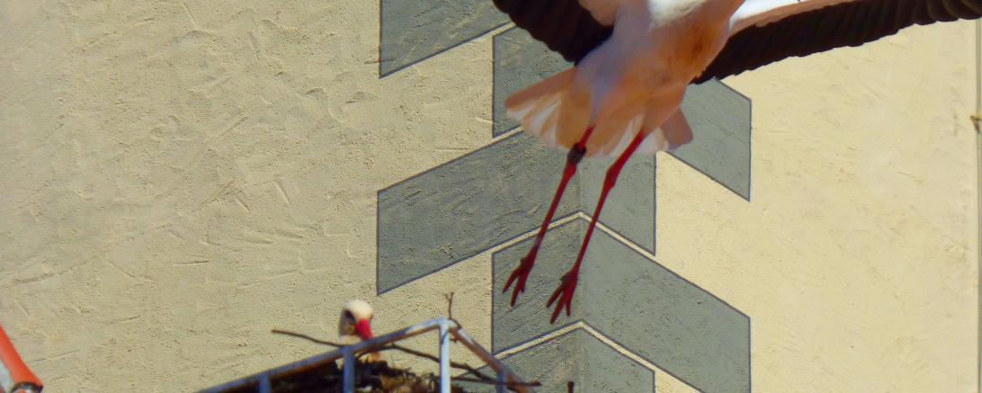 P1400863,Oett.Dekanat,Heidi Källner