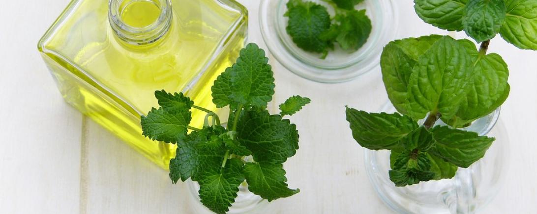 leaf-3070153_960_720