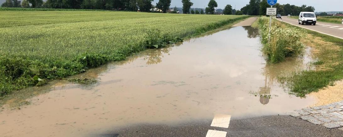 35082898_197101104245891_7804776924902850560_n