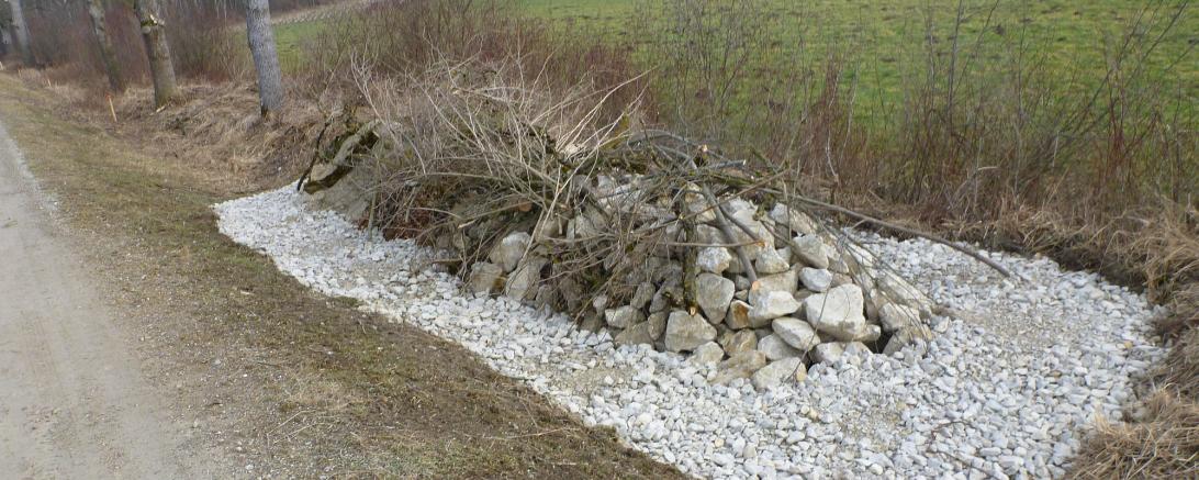 Reptilienhabitat bei Ellgau