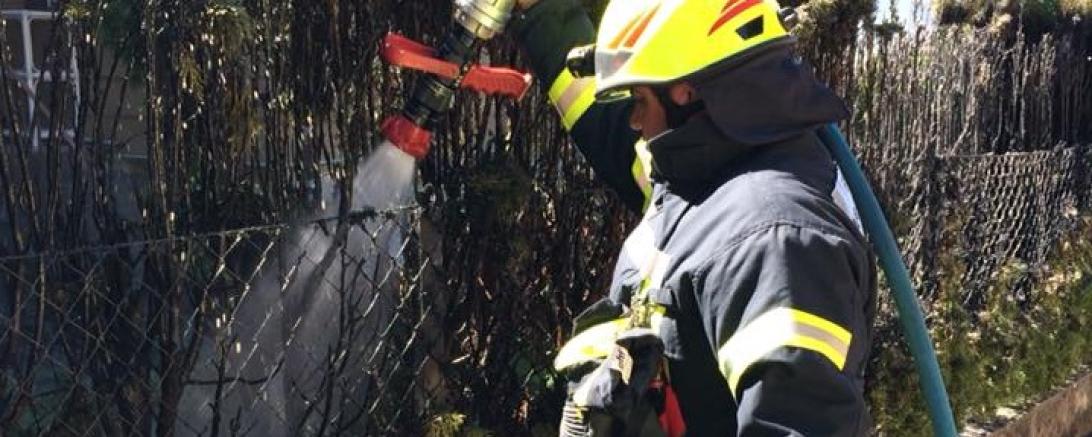 36542458_1784070071646270_3127497354182131712_n