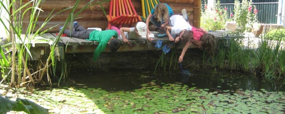 Kescher-Aktion Fotograf Harald Harazim