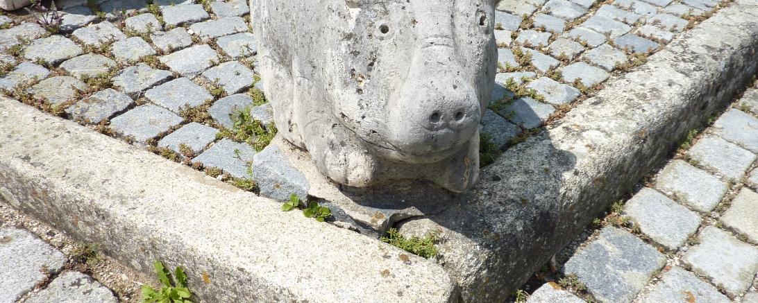 Saumarkt Ferkel 1 (1)