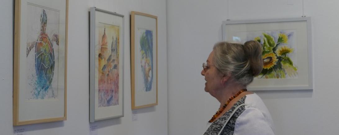 Mittwochsmaler Prasentieren Aquarell Donauworth Donau Ries Aktuell