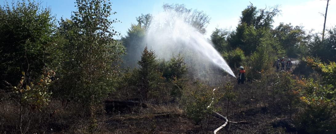 Waldbrand 3