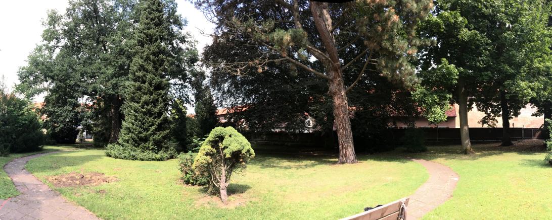 Foto 23.07.18, 16 07 09