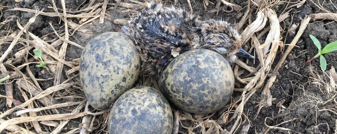 Processed with MOLDIV