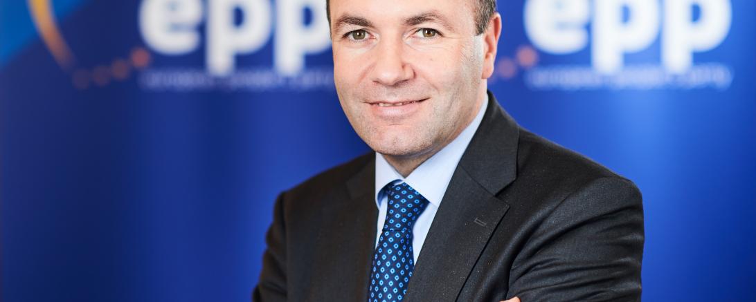 BildManfredWeber