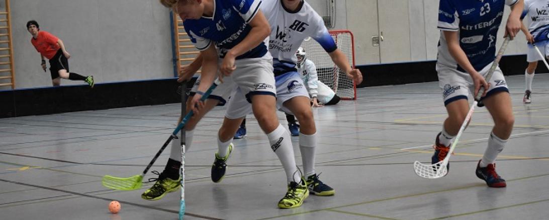 Donau Floorball - Schliersheim