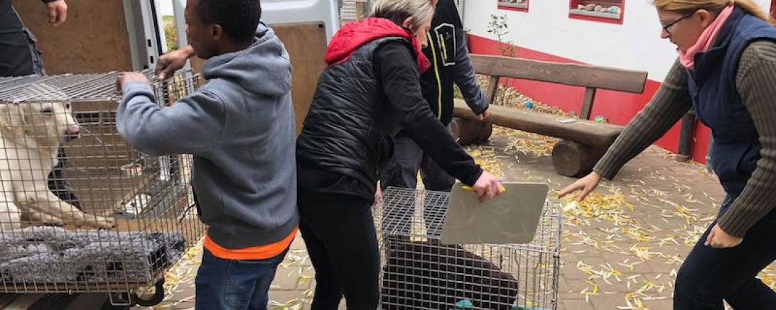 46486111_2211437442446553_3719747312503750656_n