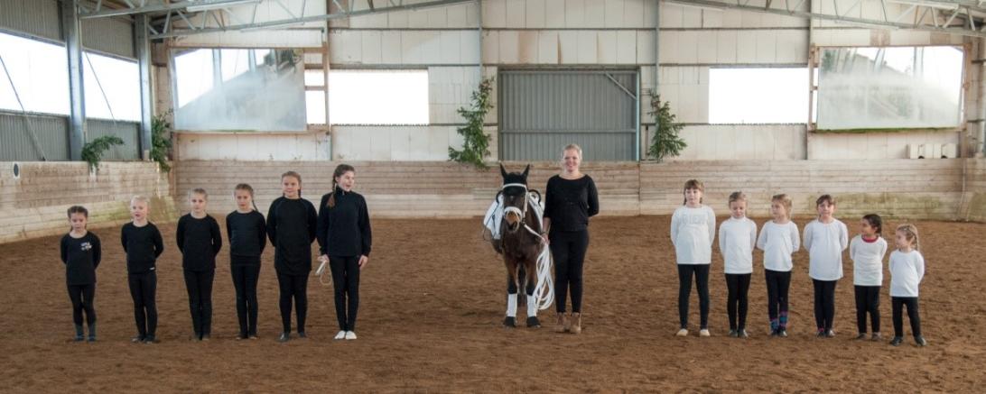 Stallgemeinschaft Klötzmühle