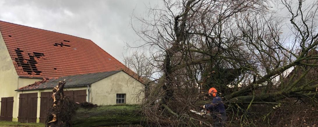 47489764_1956368361119917_8777367325574692864_n