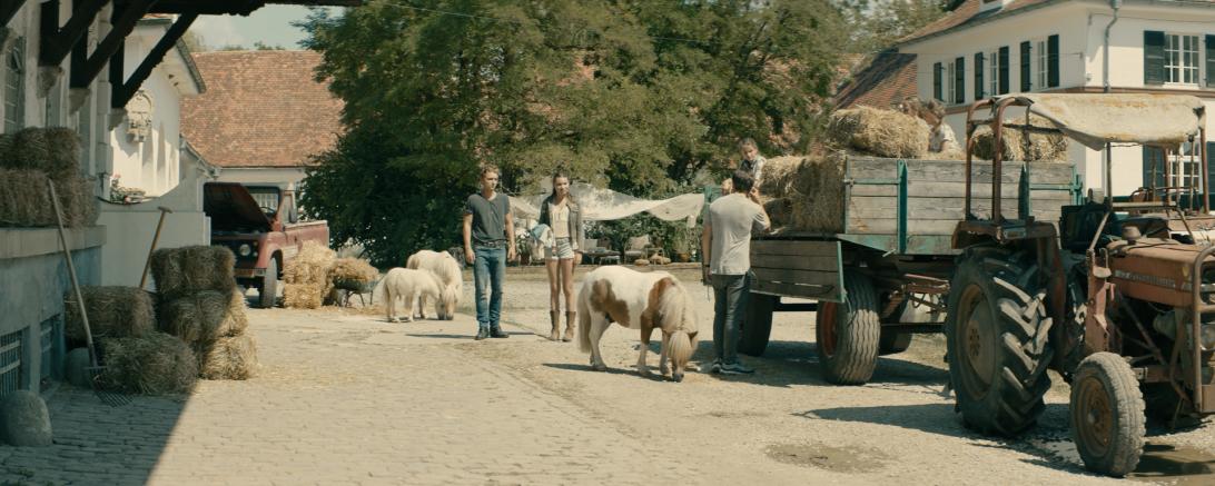 Zu sehen ist eine Szene aus dem Film "Immenhof - Abenteuer eines Sommers", der in der Nähe von Donauwörth gedreht wurde.