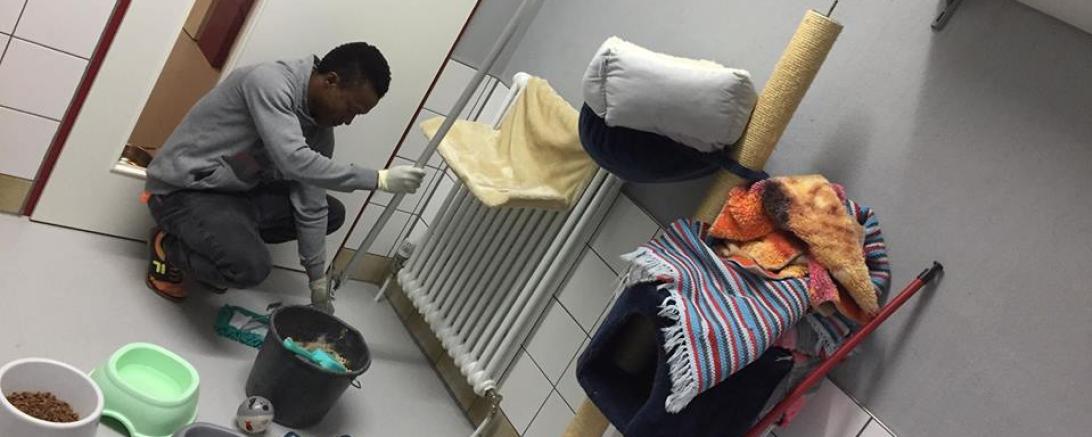 Mohammed Katzenzimmer