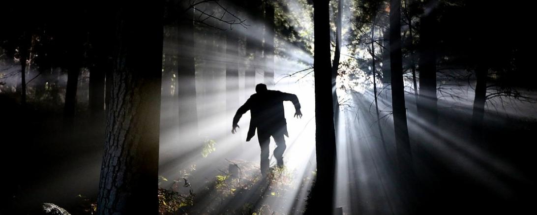 Symbolbild - Frankenstein