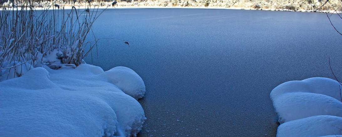 Winterlandschaft mit zugefrorenem See. 